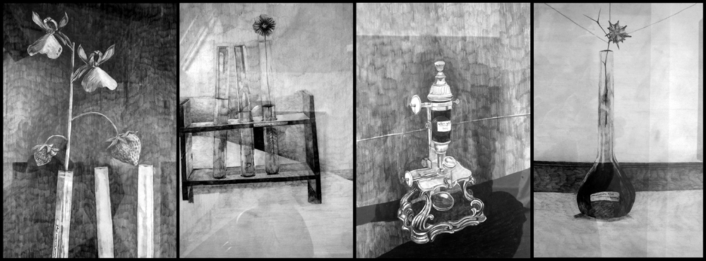 Saturday June 20th (2009) Four Drawings width=