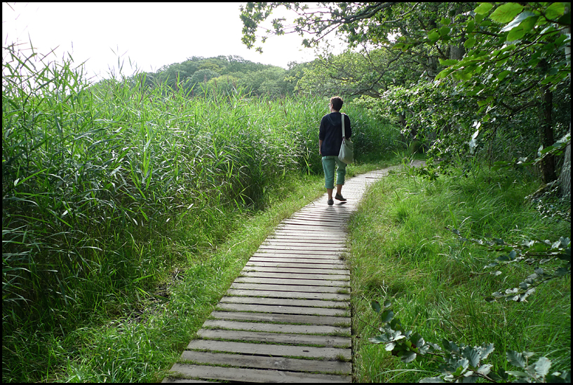 Thursday August 23rd (2012) Lots and lots of greenery ... width=