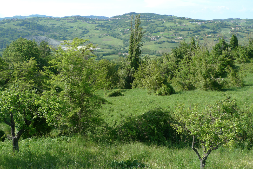 Thursday May 23rd (2019) Looking North West ... width=