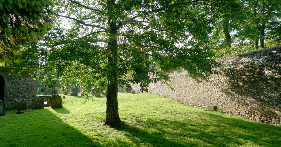 Saturday May 31st (2014) Jevington churchyard width=