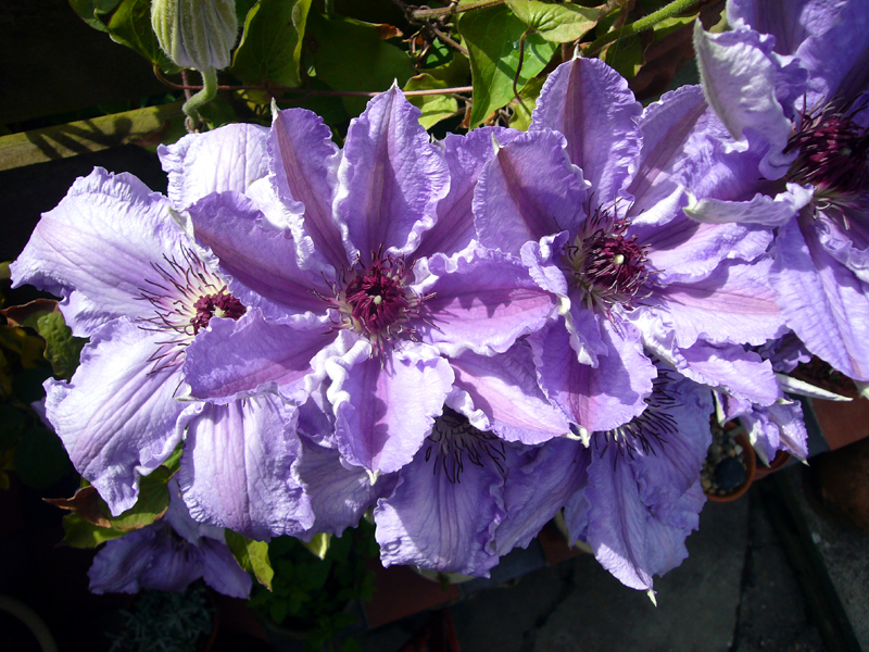 Saturday May 24th (2008) William Kennet width=