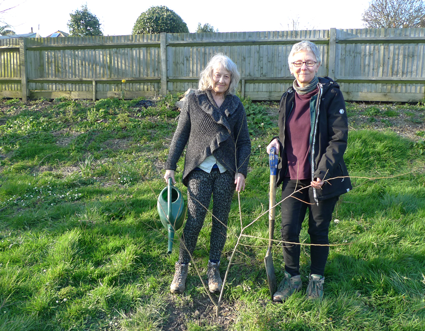 Friday March 6th (2020) Tree Planting ... width=