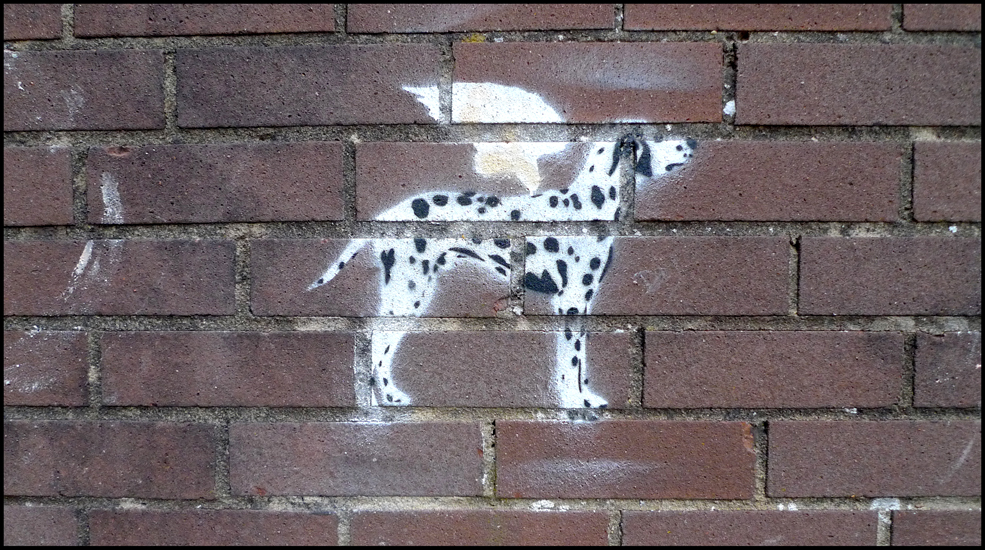 Friday July 5th (2013) Dalmation ... width=