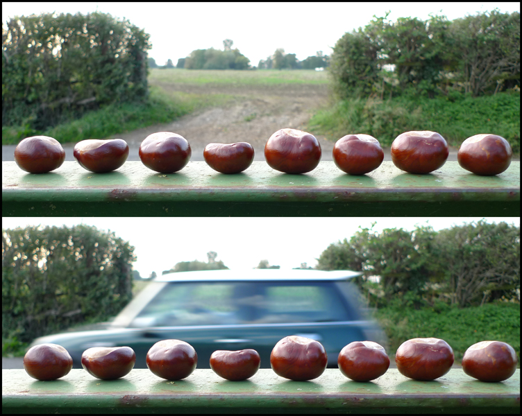 Thursday October 7th (2010) Conkers,Conkers and Mini width=