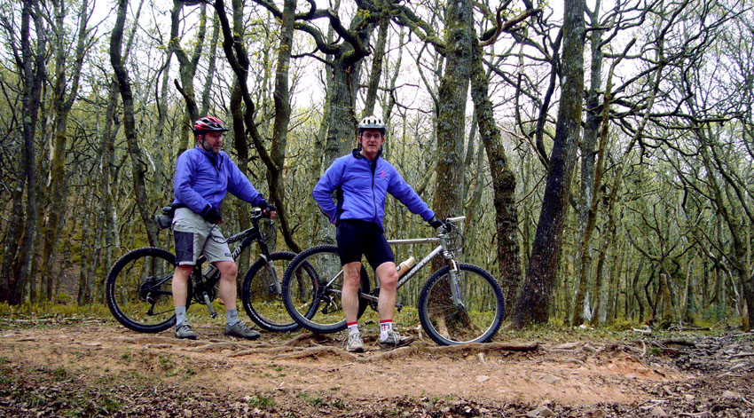 Sunday April 22nd (2007) Creatures of Habit width=