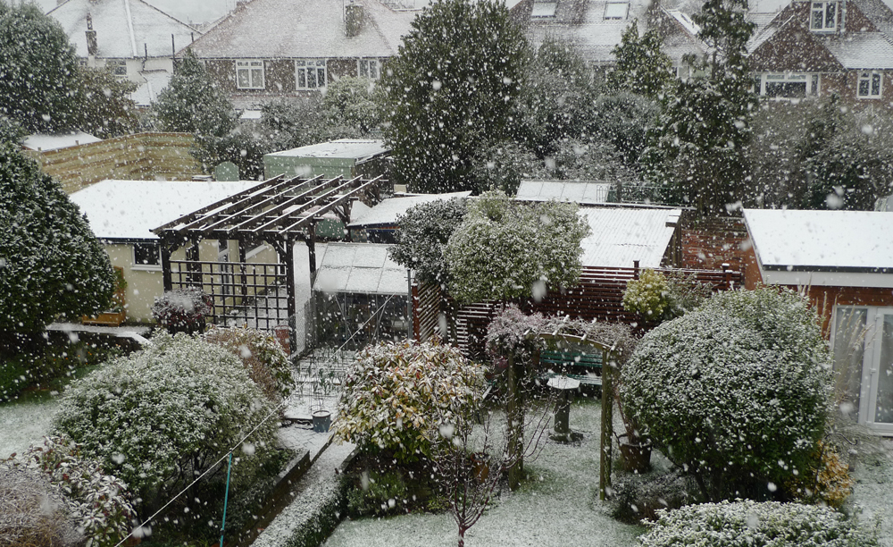 Monday February 5th (2018) Ten o'clock this morning. width=