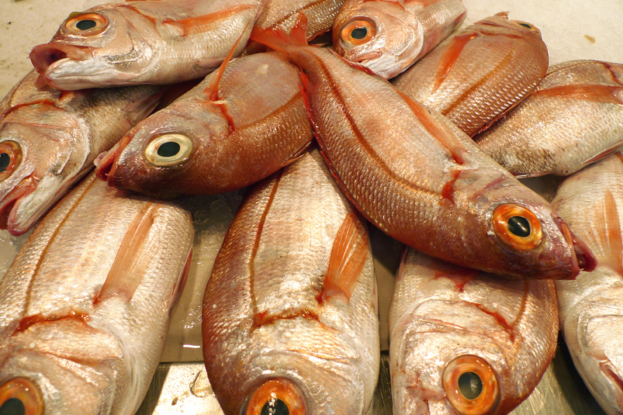 Thursday March 9th (2017) Fish in the central market. width=