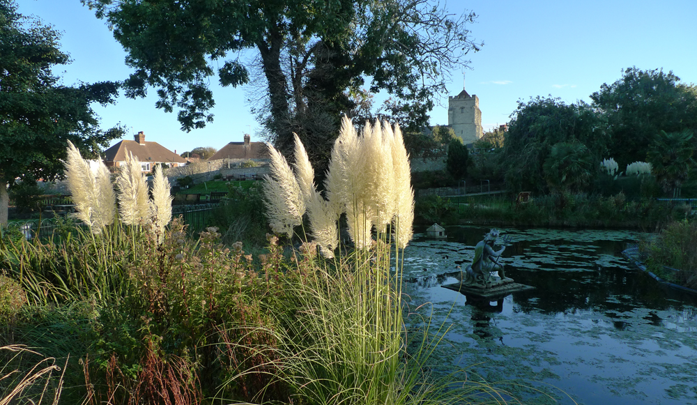 Friday October 26th (2018) Motcombe park ... width=