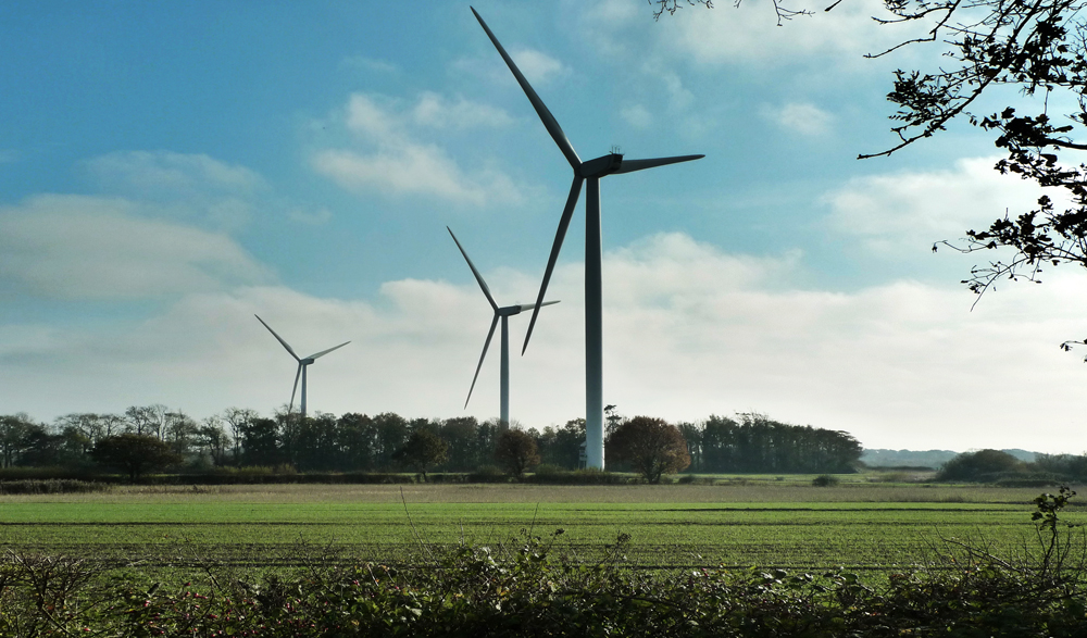 Saturday November 7th (2020) Shepham wind farm width=