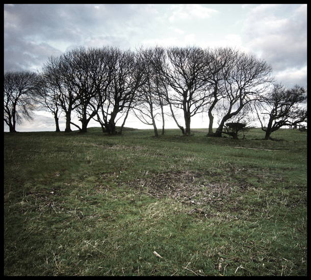 Tuesday January 10th (2012) 