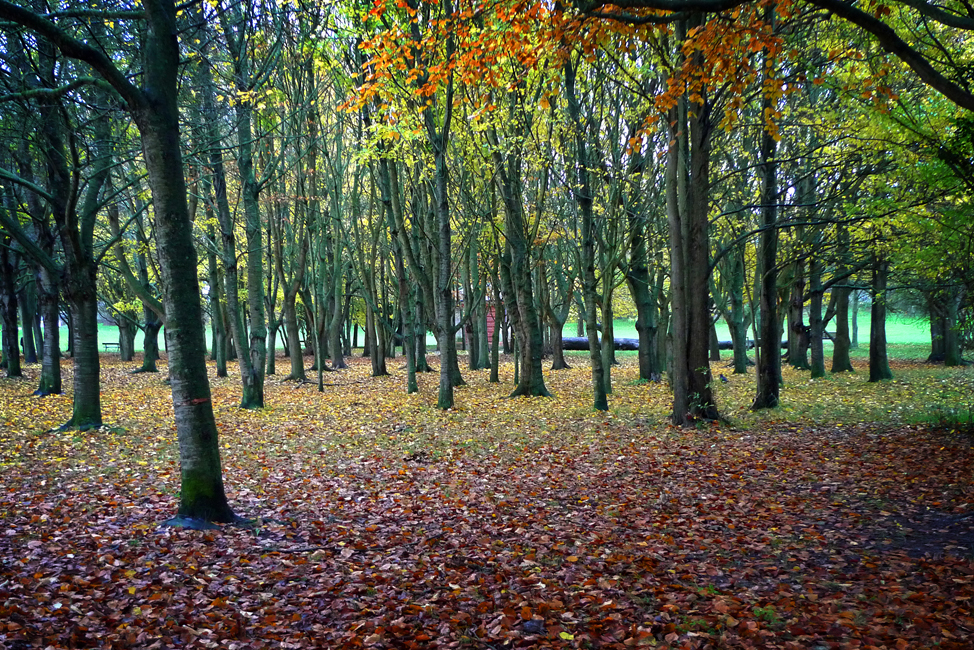 Tuesday November 26th (2019) Gildredge Park width=