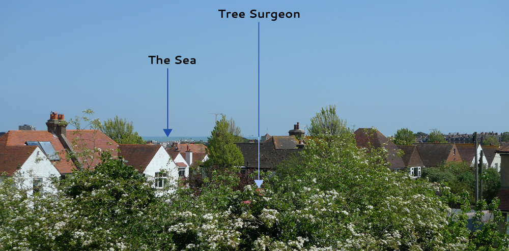 Thursday May 15th (2014) The tree surgeon working at number four ... width=