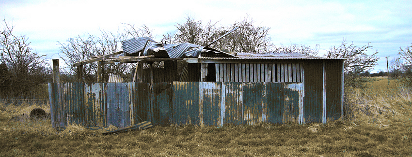 Sunday January 28th (2007) Long Blue Shed width=