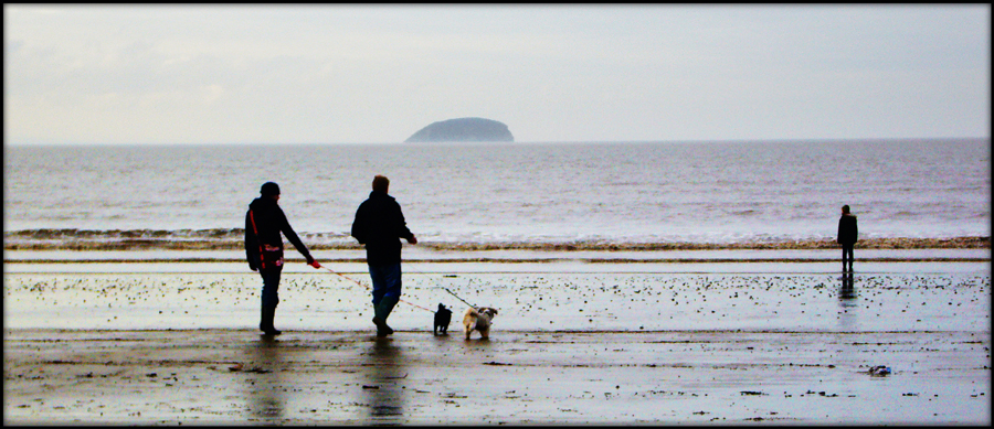 Wednesday January 2nd (2008) Two Dogs width=