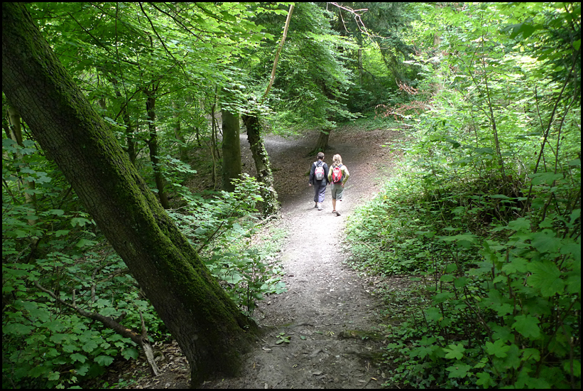 Tuesday July 17th (2012) Walking in the woods width=