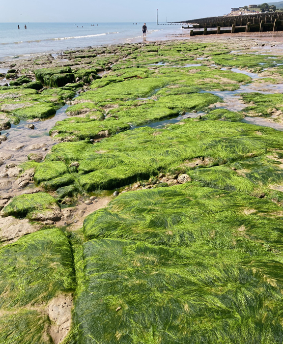 Thursday June 19th (2025) The tide is right out ... width=