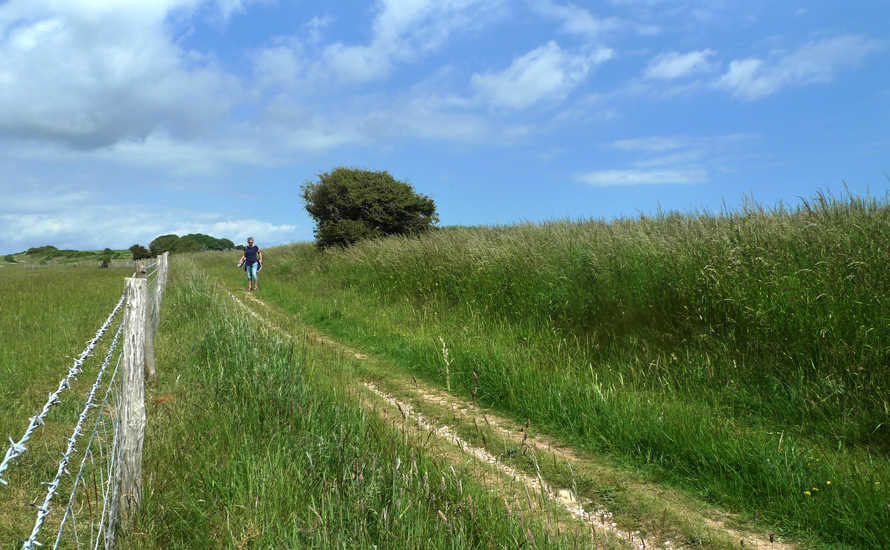 Friday June 20th (2014) Friston Dencher width=