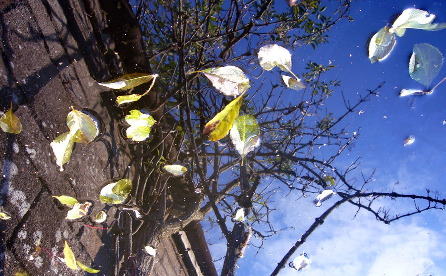 Friday November 2nd (2007) Another Reflection.... width=