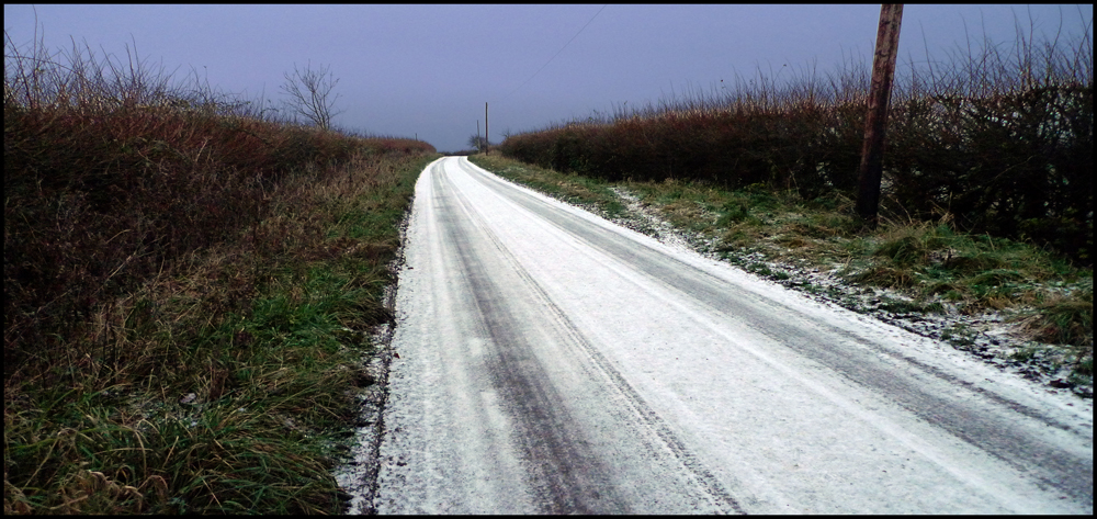 Sunday December 20th (2009) A walk around the block. width=