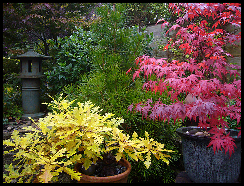 Sunday October 5th (2008) Autumn width=