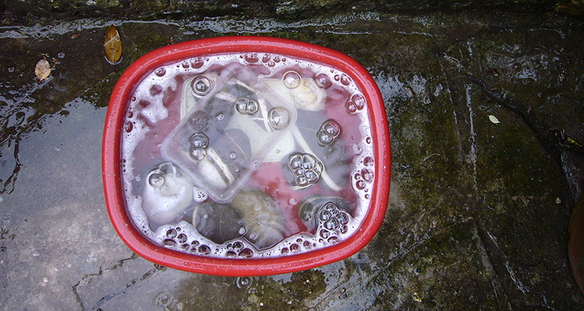 Saturday May 12th (2007) Bleach width=