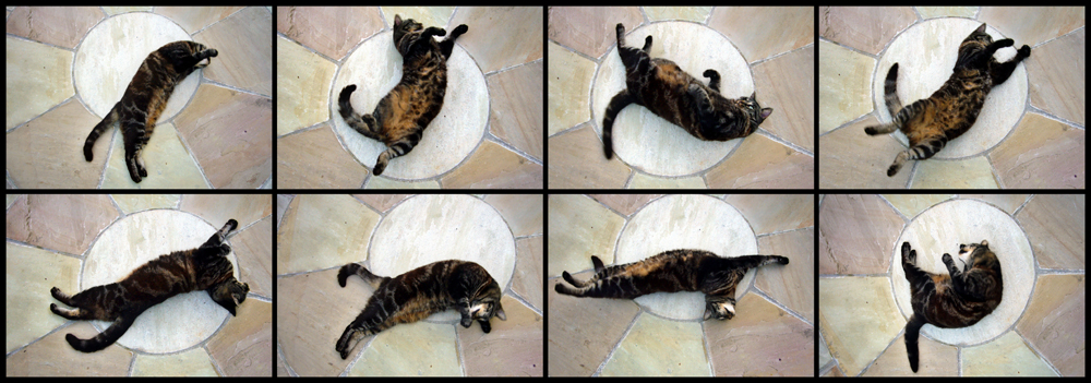 Saturday August 30th (2008) Scratch My Back width=