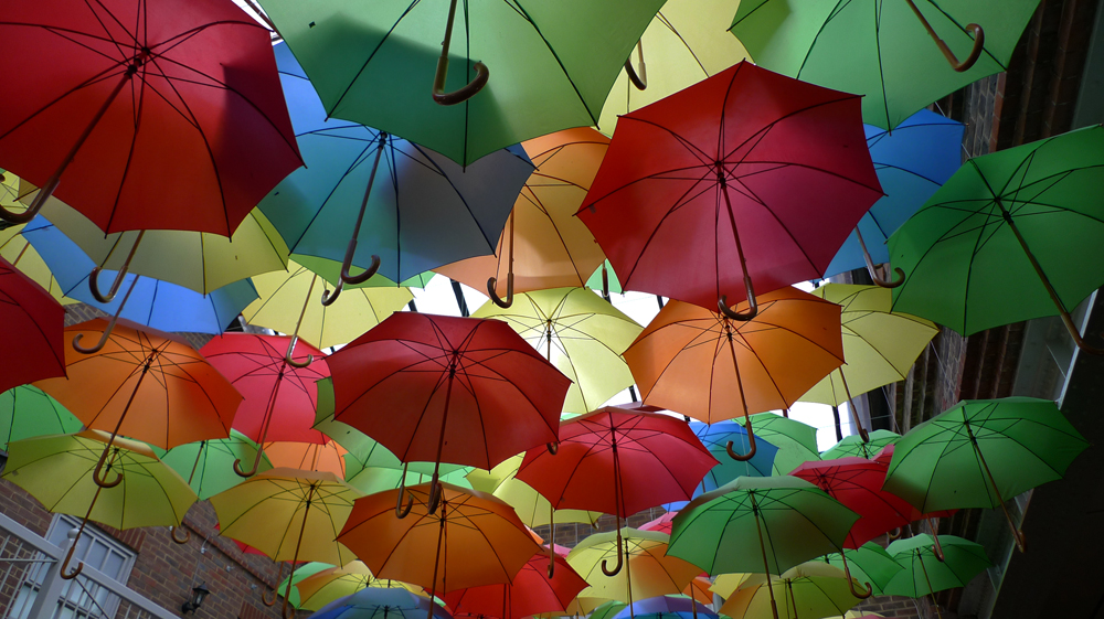 Monday February 12th (2018) Enterprise Centre, Eastbourne. width=