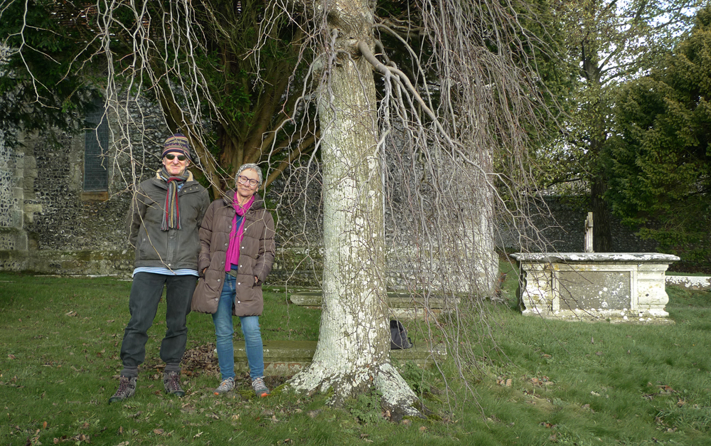 Thursday December 17th (2020) Ulmus Montana Serpentina width=