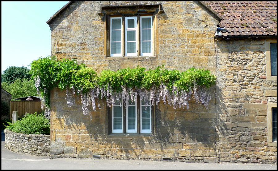 Friday June 4th (2010) Decorated Hamstone width=