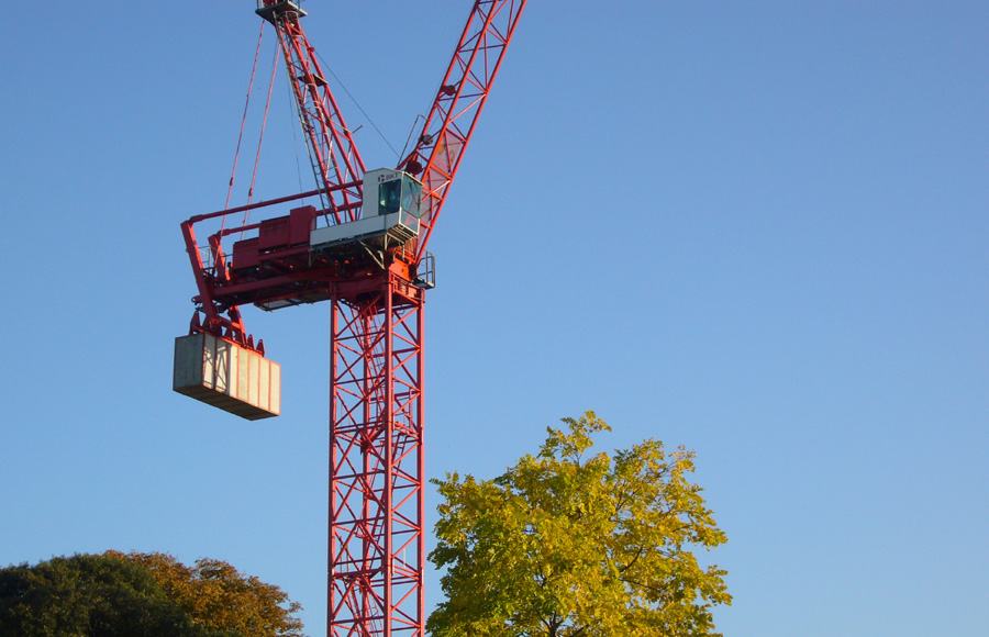 Friday October 5th (2007) Red Crane Yellow Tree width=