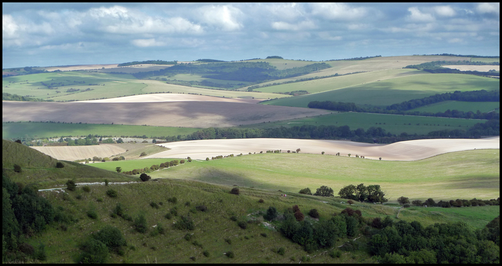 Sunday September 5th (2010) Walking on the South Downs width=