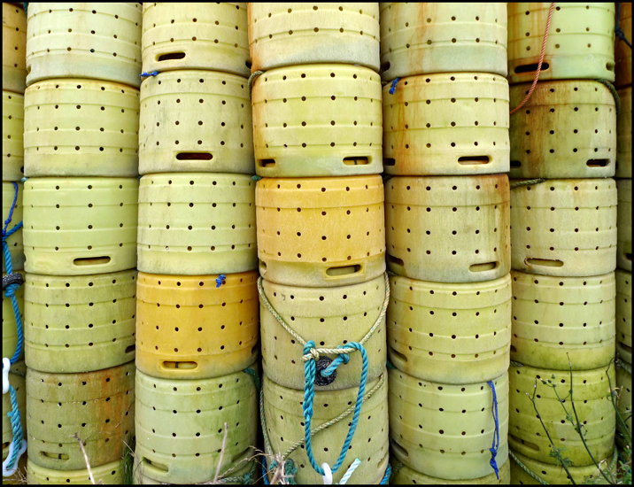 Friday December 16th (2011) Something else to do with fishing. width=