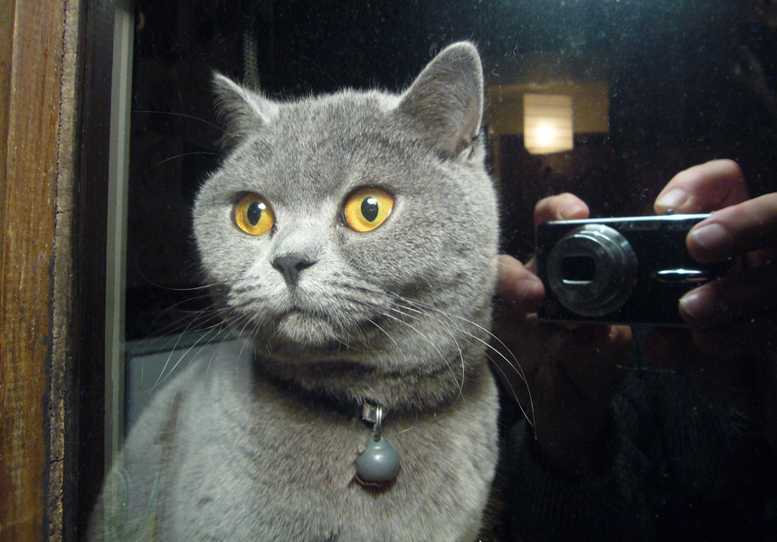 Wednesday June 17th (2009) Sophie width=