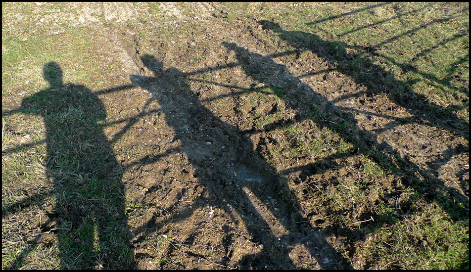 Saturday February 23rd (2013) Strong shadows. width=