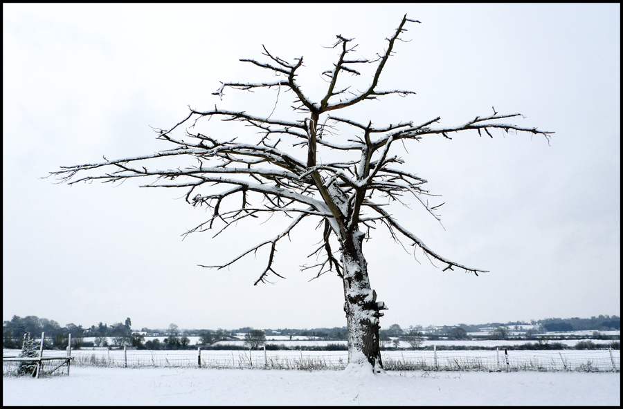 Saturday January 9th (2010) Is it Dead? width=