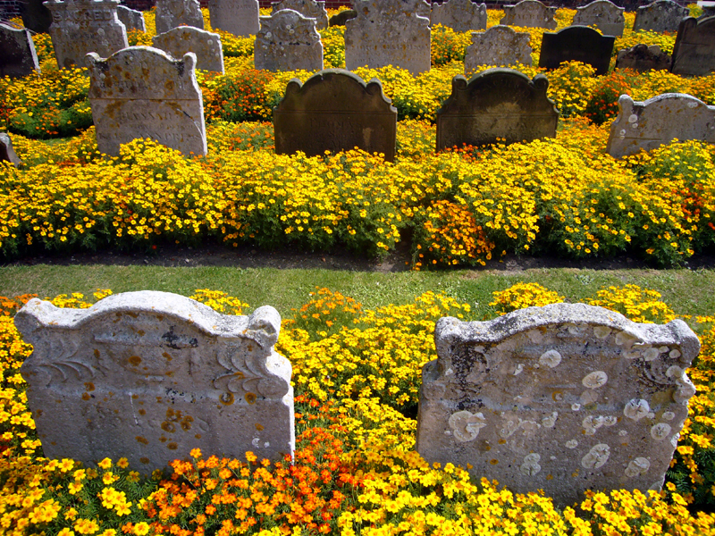 Saturday August 9th (2008) Yellow Graves width=