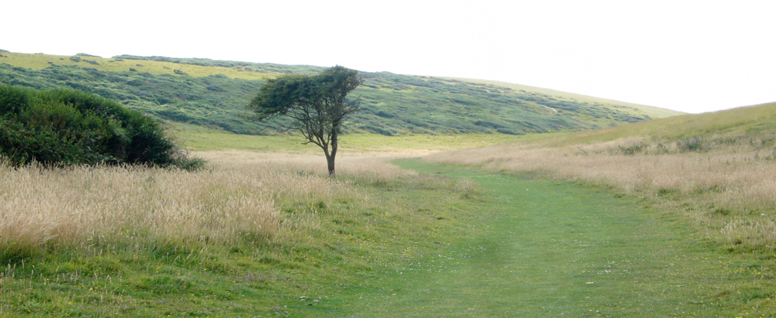 Friday July 18th (2014) Gap Bottom ... width=