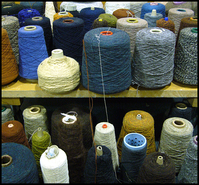 Monday November 23rd (2009) Alice's Wool width=