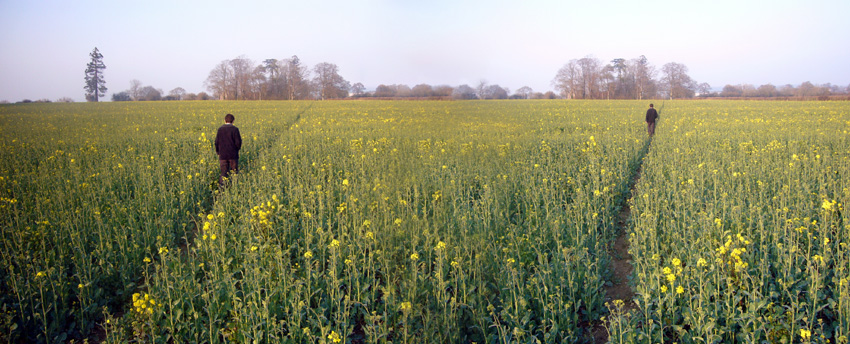 Monday March 26th (2007) Crossing the Field width=