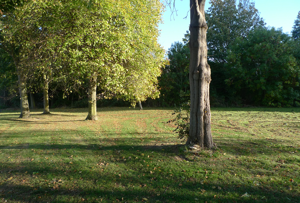 Wednesday October 24th (2018) Low sun alongside Kings Drive width=
