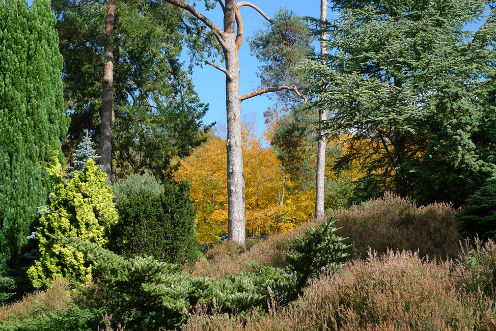 Tuesday October 6th (2020) A beautiful autumn day width=