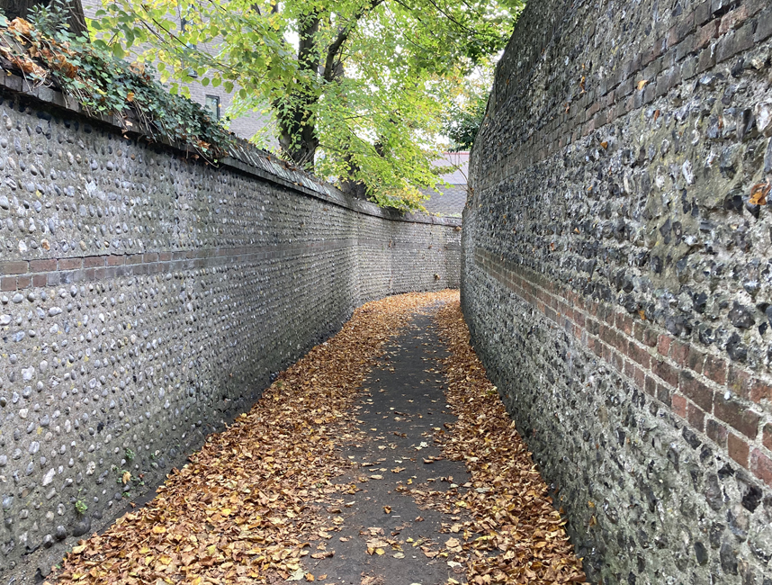 Tuesday October 21st (2025) Green and Brown width=