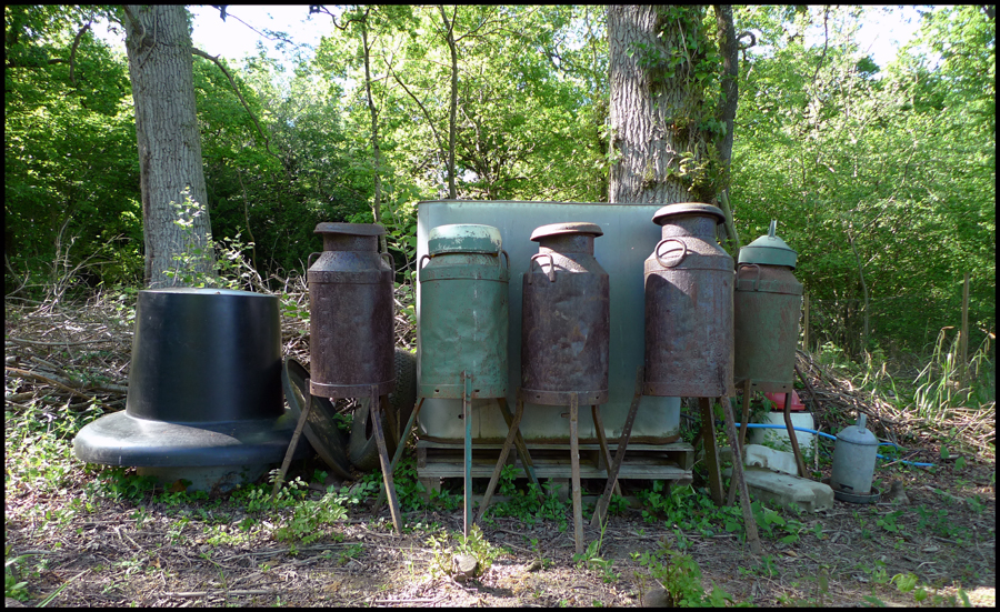 Sunday May 23rd (2010) In the Woods width=