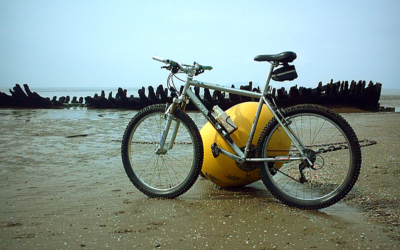 Sunday April 30th (2006) Berrow Flats width=