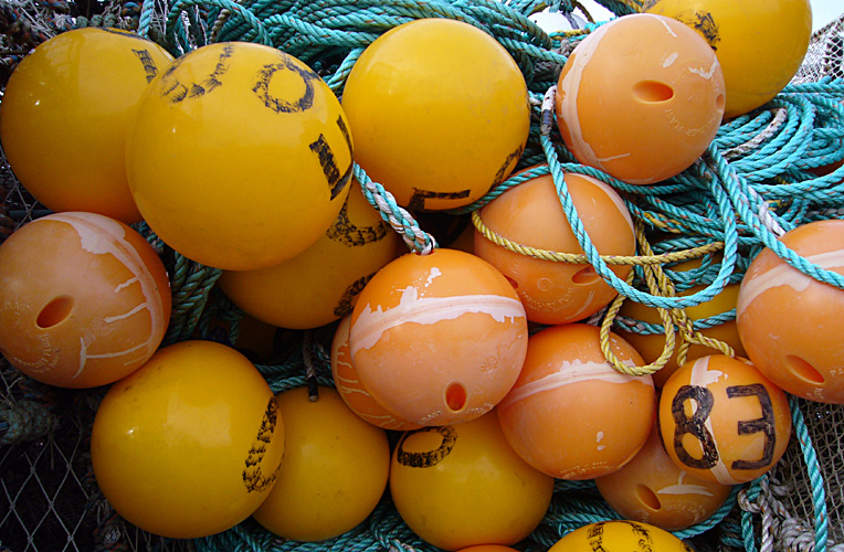 Saturday March 3rd (2007) Floats width=