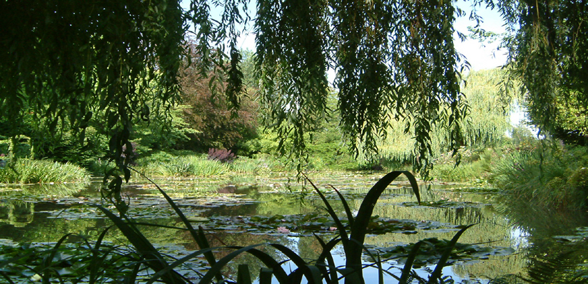 Tuesday October 17th (2006) A Summer Scene width=