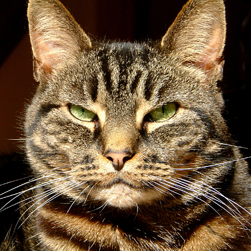 Tuesday March 14th (2006) No-Name width=