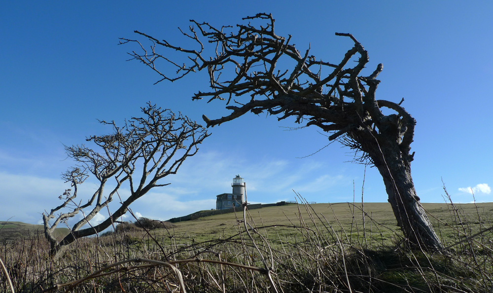 Wednesday February 12th (2014) Belle Tout width=
