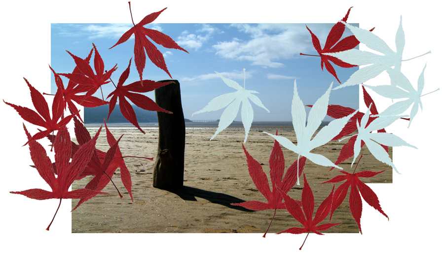 Thursday October 9th (2008) Autumn Acers width=