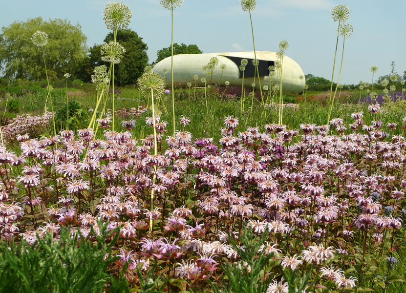 Friday June 12th (2015) The Radic Pavilion ... width=